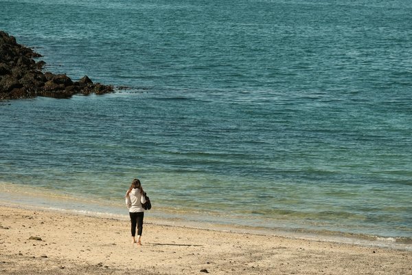 Focus sur la portabilité de la mutuelle