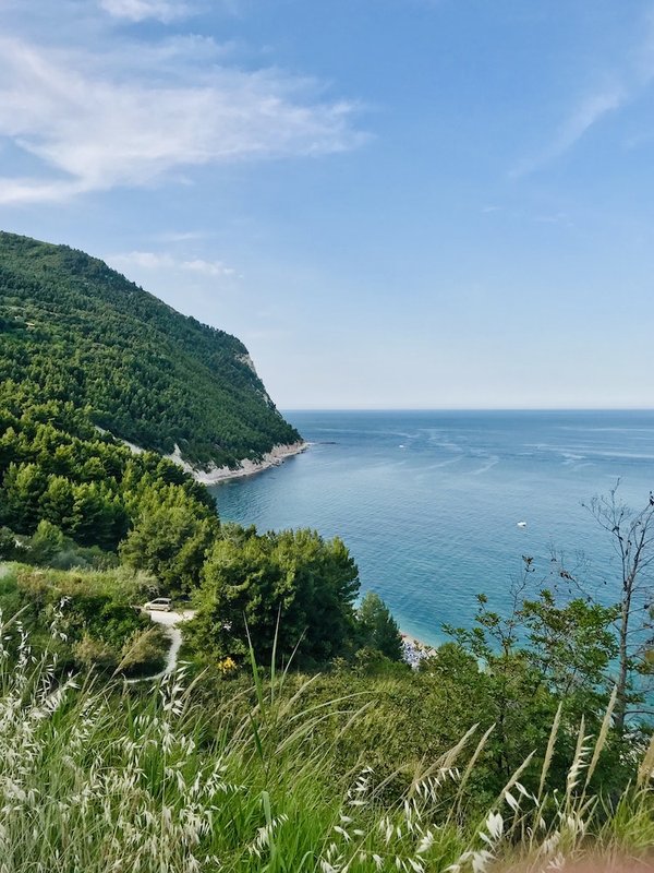 La marche : un allié méconnu pour renforcer son système immunitaire