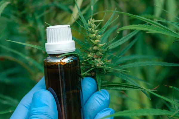Comment intégrer le CBD dans sa routine de soins de la peau ?
