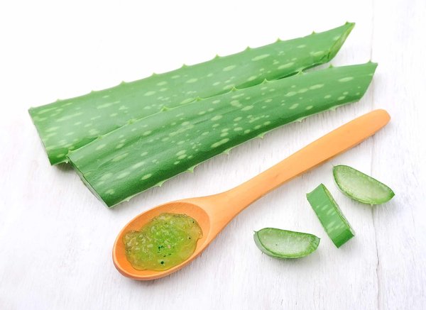 Quels sont les bienfaits et les différents modes d'utilisation de l'Aloe Vera ?