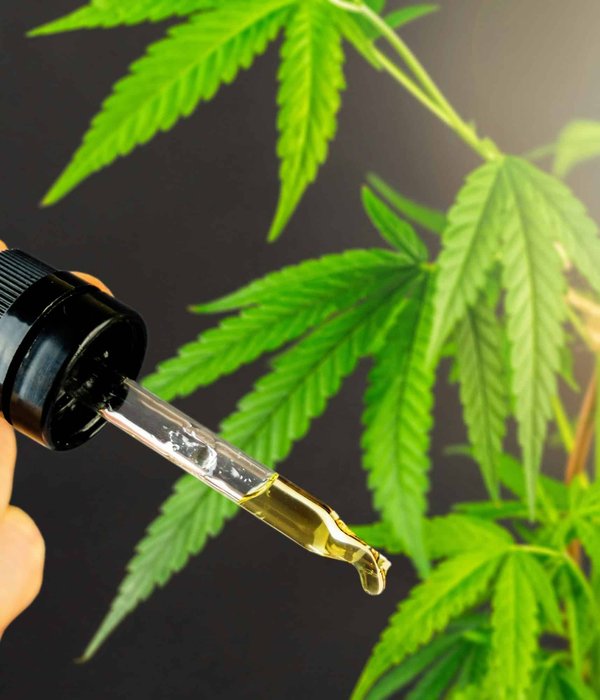 Conduire après avoir pris du CBD : les bonnes pratiques à adopter